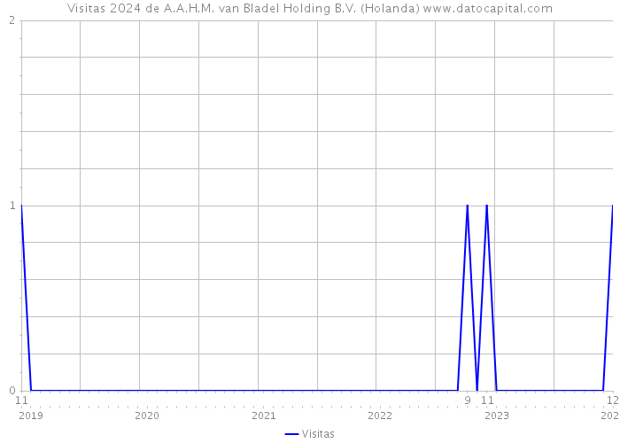 Visitas 2024 de A.A.H.M. van Bladel Holding B.V. (Holanda) 