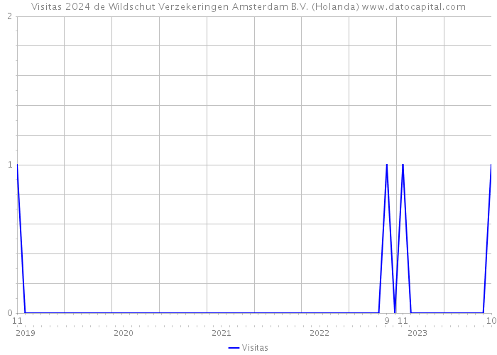Visitas 2024 de Wildschut Verzekeringen Amsterdam B.V. (Holanda) 
