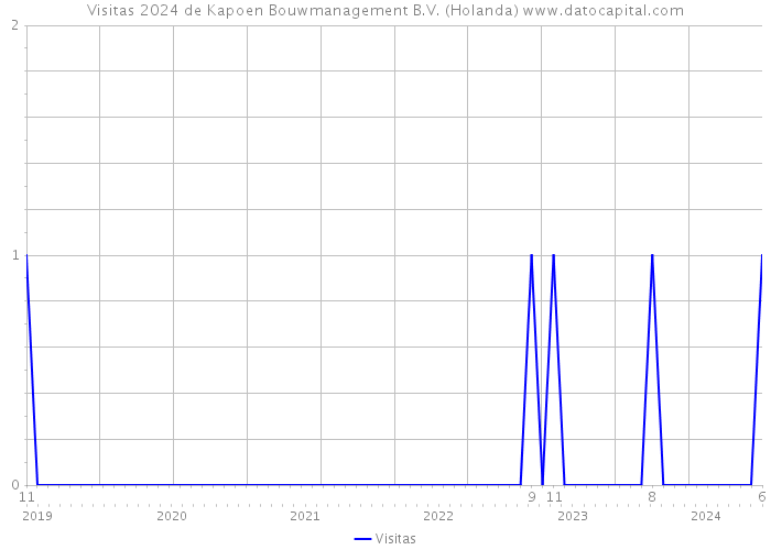 Visitas 2024 de Kapoen Bouwmanagement B.V. (Holanda) 