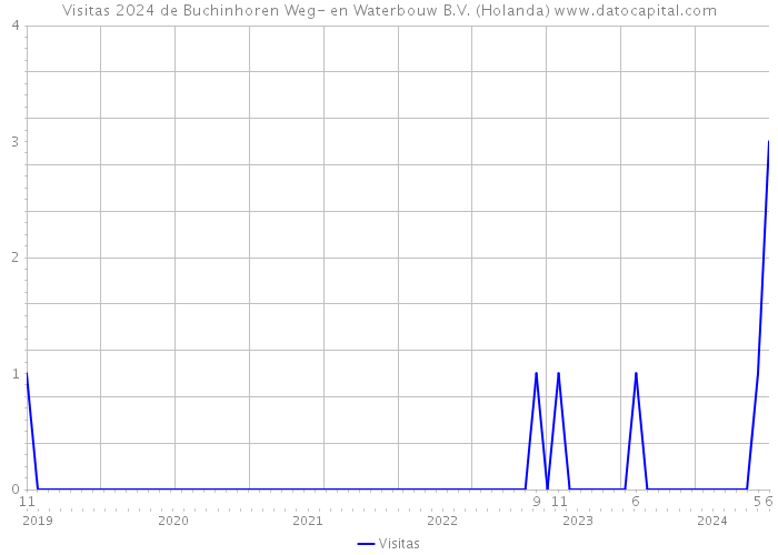 Visitas 2024 de Buchinhoren Weg- en Waterbouw B.V. (Holanda) 