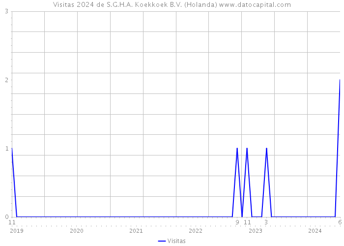 Visitas 2024 de S.G.H.A. Koekkoek B.V. (Holanda) 