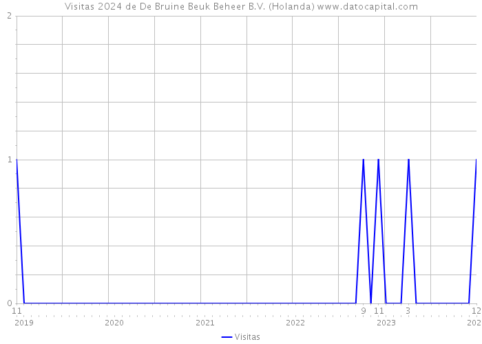 Visitas 2024 de De Bruine Beuk Beheer B.V. (Holanda) 