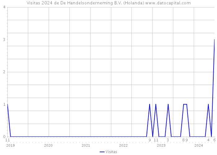 Visitas 2024 de De Handelsonderneming B.V. (Holanda) 