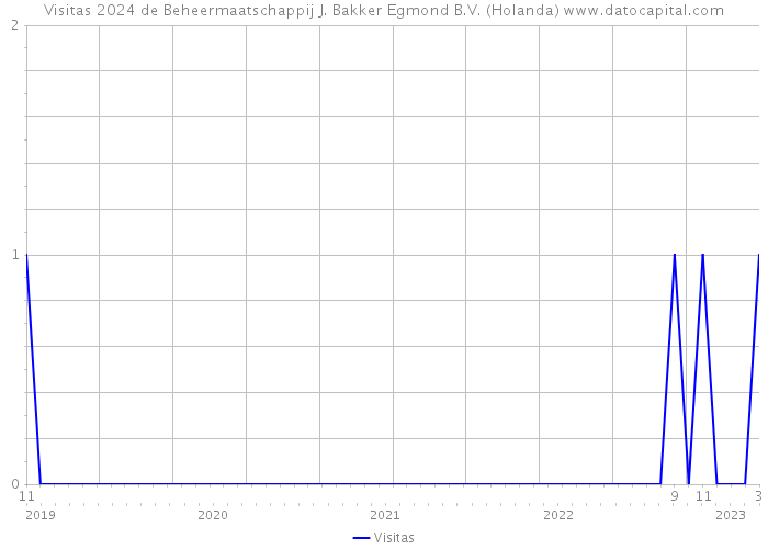 Visitas 2024 de Beheermaatschappij J. Bakker Egmond B.V. (Holanda) 