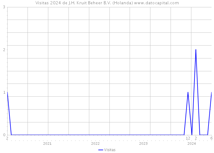 Visitas 2024 de J.H. Kruit Beheer B.V. (Holanda) 