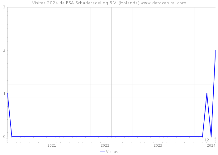Visitas 2024 de BSA Schaderegeling B.V. (Holanda) 