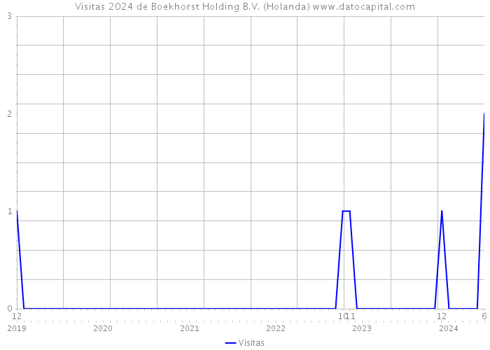 Visitas 2024 de Boekhorst Holding B.V. (Holanda) 