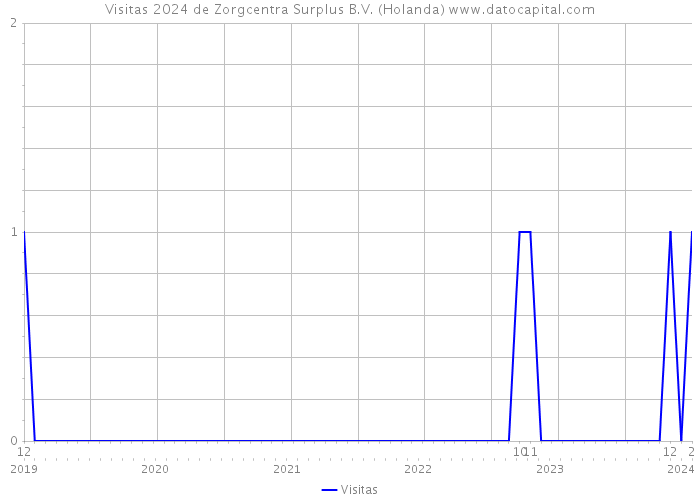 Visitas 2024 de Zorgcentra Surplus B.V. (Holanda) 
