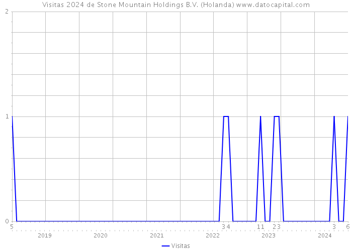 Visitas 2024 de Stone Mountain Holdings B.V. (Holanda) 