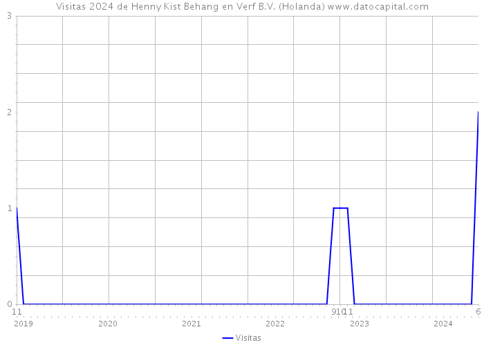 Visitas 2024 de Henny Kist Behang en Verf B.V. (Holanda) 