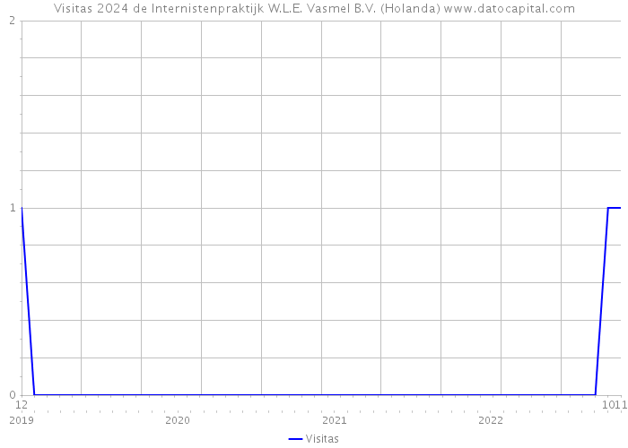 Visitas 2024 de Internistenpraktijk W.L.E. Vasmel B.V. (Holanda) 