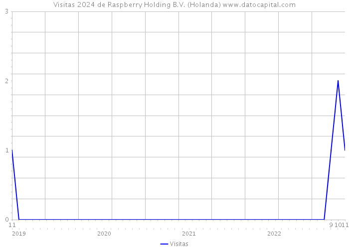 Visitas 2024 de Raspberry Holding B.V. (Holanda) 