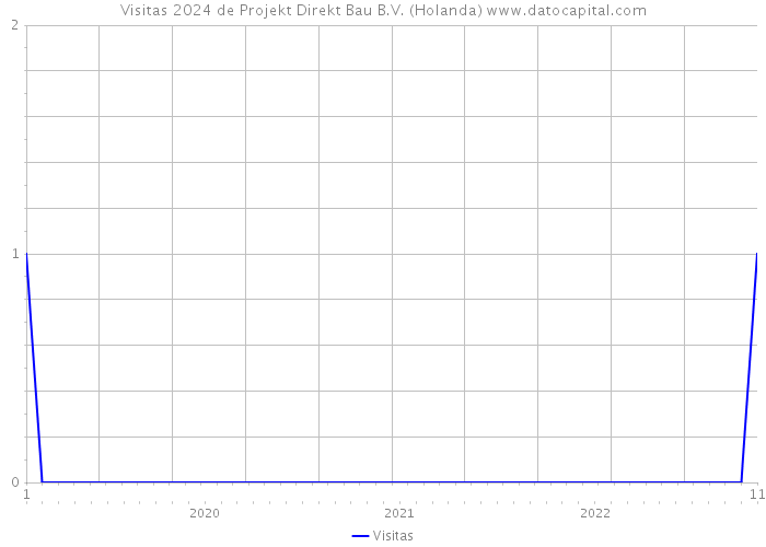 Visitas 2024 de Projekt Direkt Bau B.V. (Holanda) 