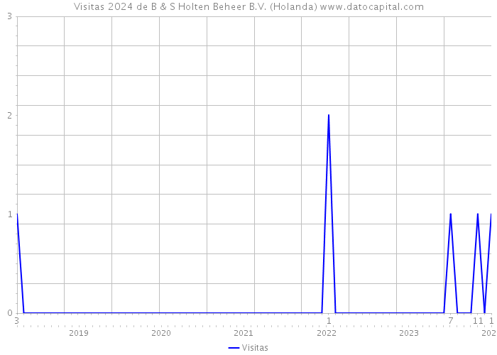 Visitas 2024 de B & S Holten Beheer B.V. (Holanda) 