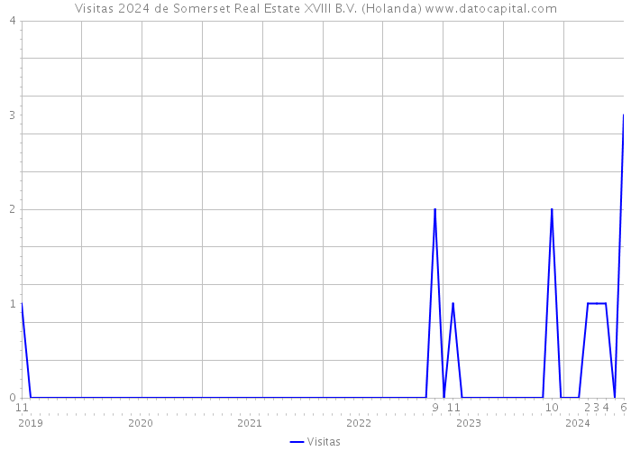 Visitas 2024 de Somerset Real Estate XVIII B.V. (Holanda) 