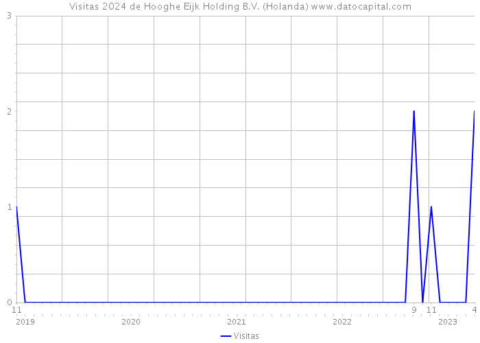 Visitas 2024 de Hooghe Eijk Holding B.V. (Holanda) 