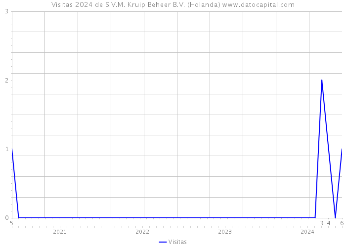 Visitas 2024 de S.V.M. Kruip Beheer B.V. (Holanda) 