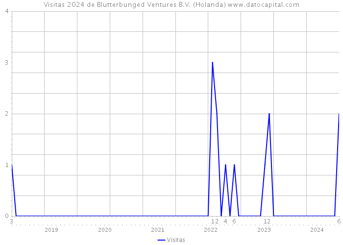Visitas 2024 de Blutterbunged Ventures B.V. (Holanda) 