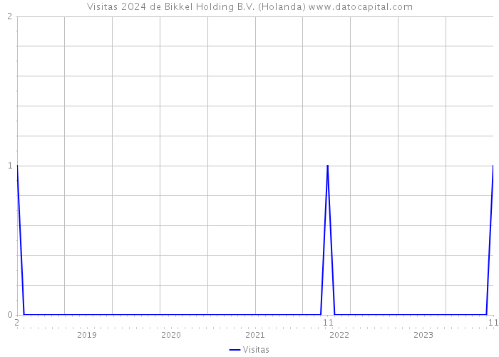 Visitas 2024 de Bikkel Holding B.V. (Holanda) 