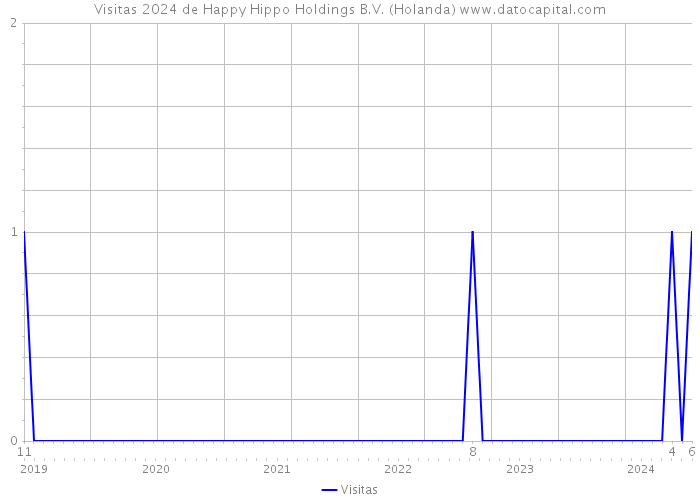 Visitas 2024 de Happy Hippo Holdings B.V. (Holanda) 