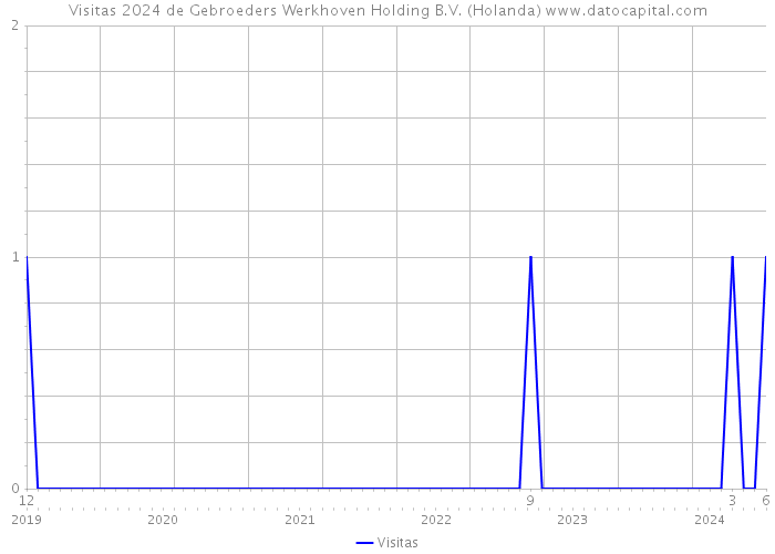 Visitas 2024 de Gebroeders Werkhoven Holding B.V. (Holanda) 