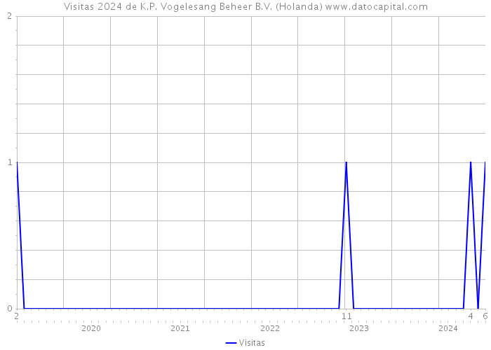 Visitas 2024 de K.P. Vogelesang Beheer B.V. (Holanda) 