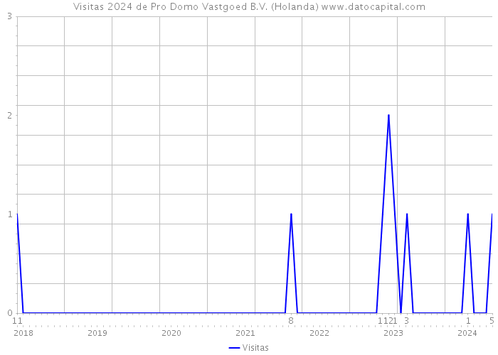 Visitas 2024 de Pro Domo Vastgoed B.V. (Holanda) 