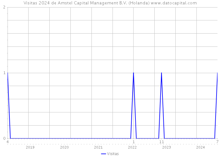 Visitas 2024 de Amstel Capital Management B.V. (Holanda) 