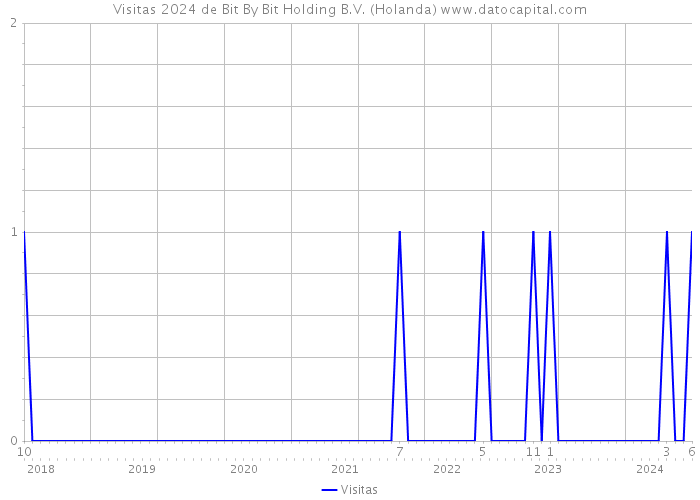 Visitas 2024 de Bit By Bit Holding B.V. (Holanda) 