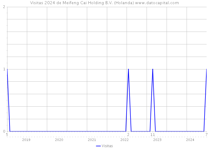 Visitas 2024 de Meifeng Cai Holding B.V. (Holanda) 