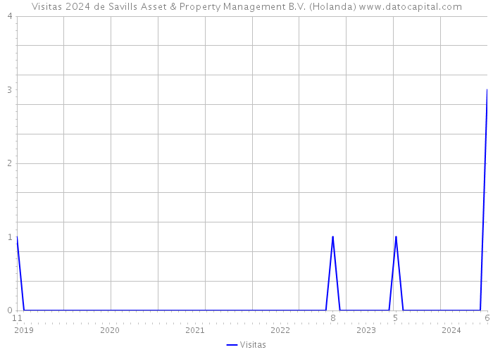 Visitas 2024 de Savills Asset & Property Management B.V. (Holanda) 
