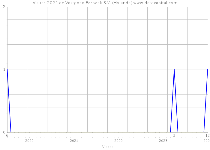 Visitas 2024 de Vastgoed Eerbeek B.V. (Holanda) 