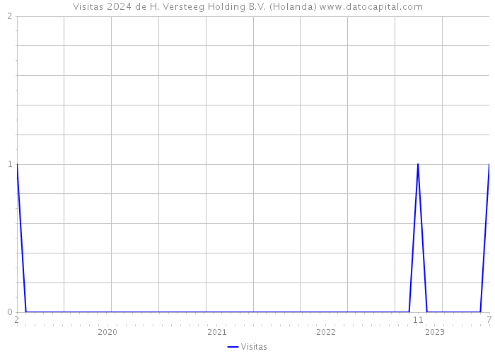 Visitas 2024 de H. Versteeg Holding B.V. (Holanda) 
