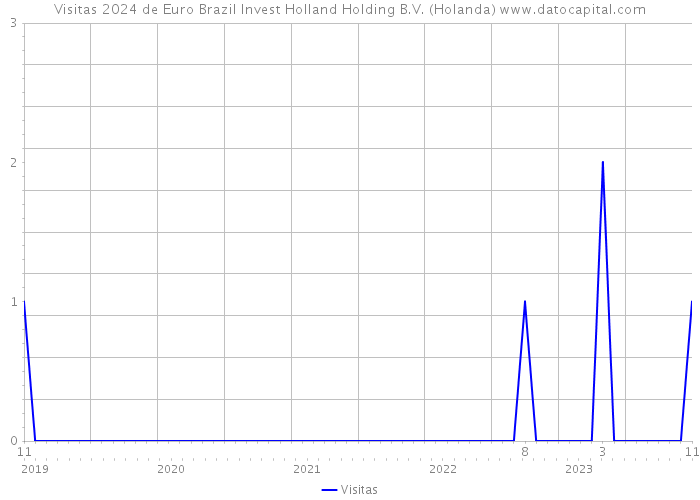 Visitas 2024 de Euro Brazil Invest Holland Holding B.V. (Holanda) 