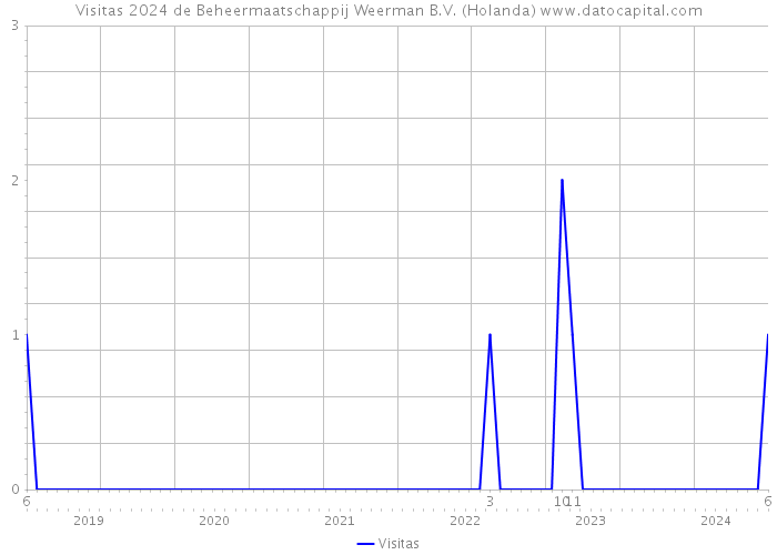 Visitas 2024 de Beheermaatschappij Weerman B.V. (Holanda) 