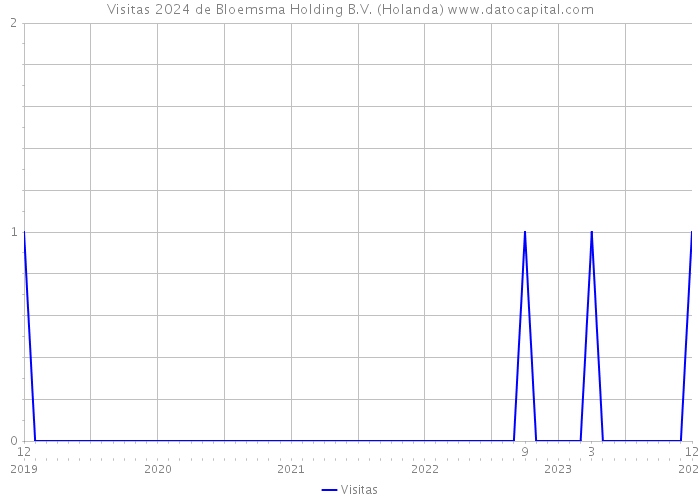 Visitas 2024 de Bloemsma Holding B.V. (Holanda) 