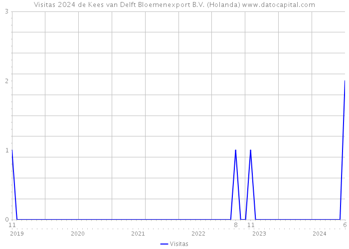 Visitas 2024 de Kees van Delft Bloemenexport B.V. (Holanda) 