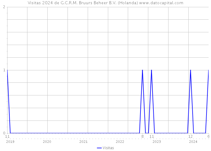 Visitas 2024 de G.C.R.M. Bruurs Beheer B.V. (Holanda) 