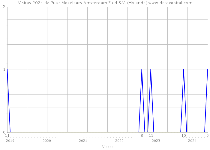 Visitas 2024 de Puur Makelaars Amsterdam Zuid B.V. (Holanda) 