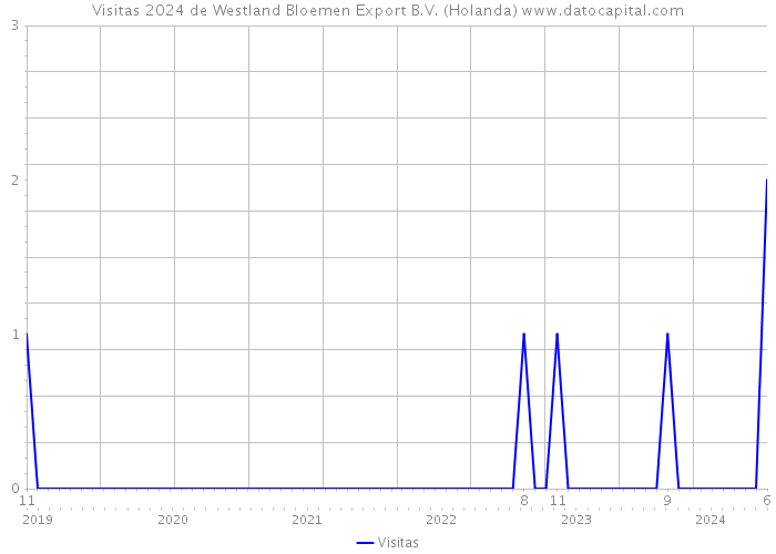 Visitas 2024 de Westland Bloemen Export B.V. (Holanda) 