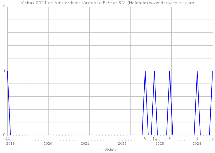 Visitas 2024 de Amsterdams Vastgoed Beheer B.V. (Holanda) 