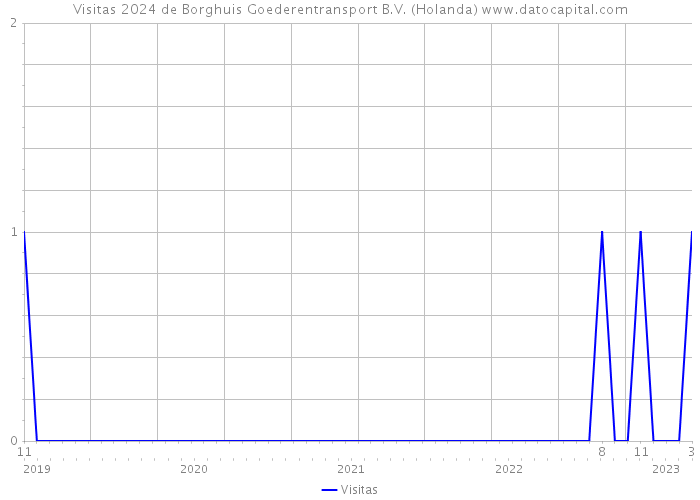 Visitas 2024 de Borghuis Goederentransport B.V. (Holanda) 