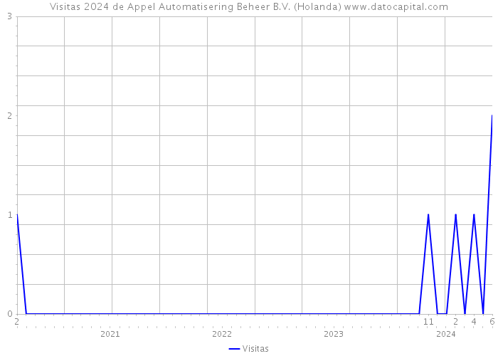 Visitas 2024 de Appel Automatisering Beheer B.V. (Holanda) 