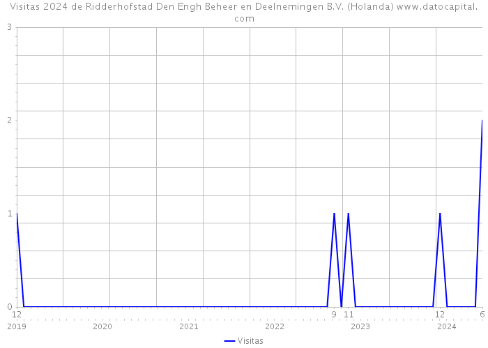 Visitas 2024 de Ridderhofstad Den Engh Beheer en Deelnemingen B.V. (Holanda) 