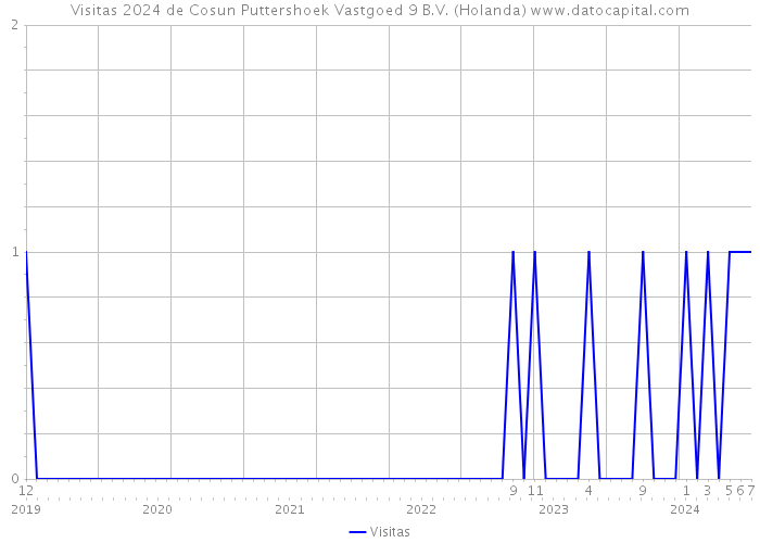 Visitas 2024 de Cosun Puttershoek Vastgoed 9 B.V. (Holanda) 