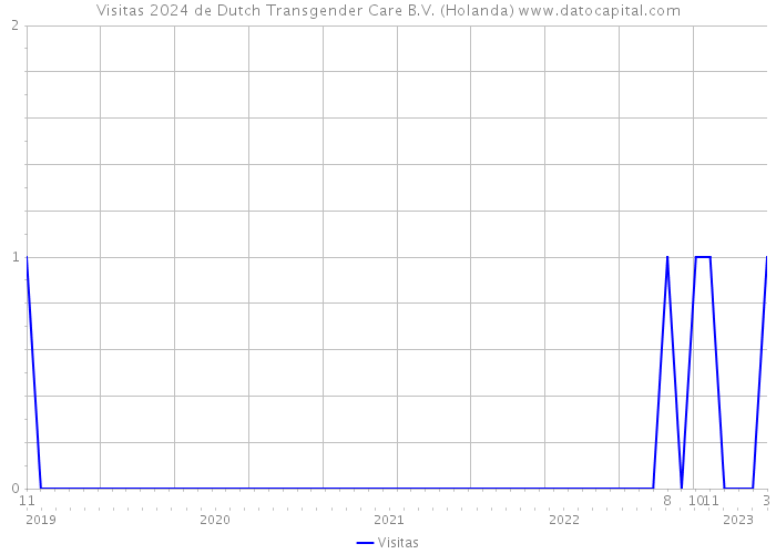 Visitas 2024 de Dutch Transgender Care B.V. (Holanda) 