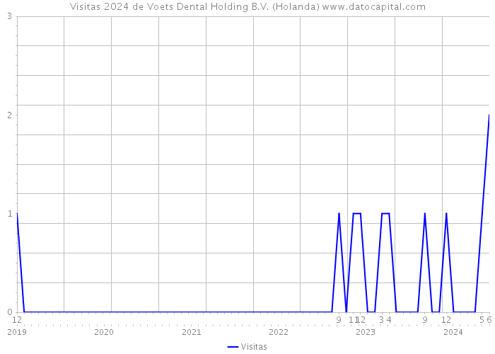 Visitas 2024 de Voets Dental Holding B.V. (Holanda) 