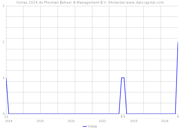 Visitas 2024 de Plesman Beheer & Management B.V. (Holanda) 