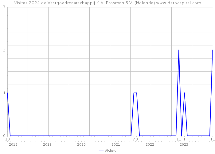 Visitas 2024 de Vastgoedmaatschappij K.A. Prosman B.V. (Holanda) 