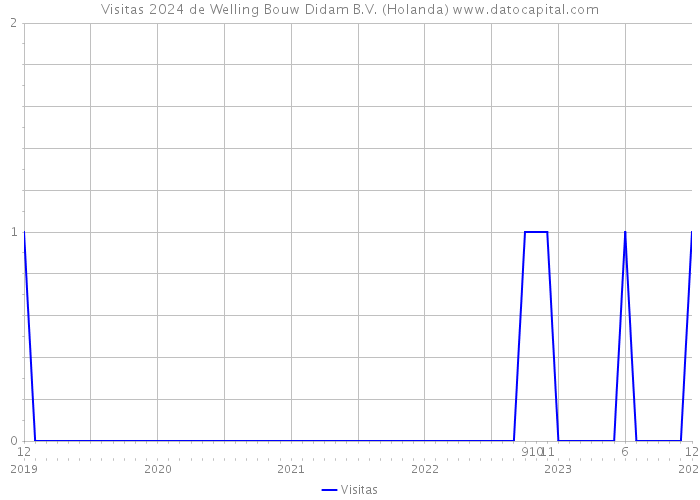 Visitas 2024 de Welling Bouw Didam B.V. (Holanda) 